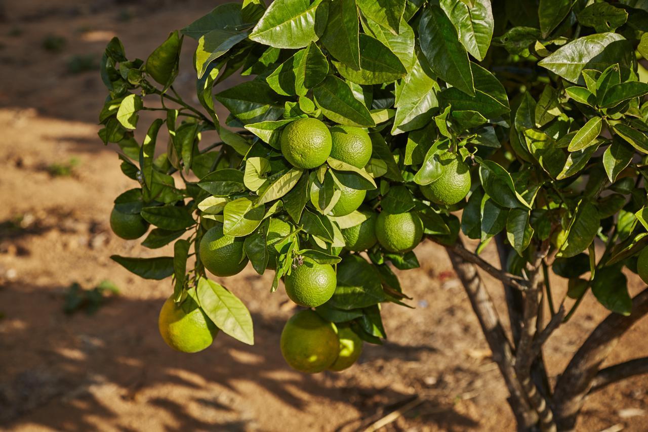 EIT Eco Inteligente Villa Alto Paraíso de Goiás Eksteriør bilde